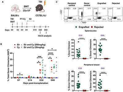 Galectin-1 is associated with hematopoietic cell engraftment in murine MHC-mismatched allotransplantation